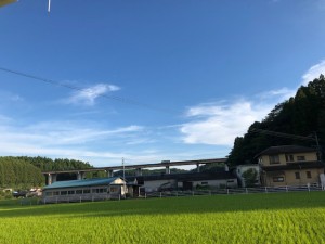 image1_34 image1_34.jpeg