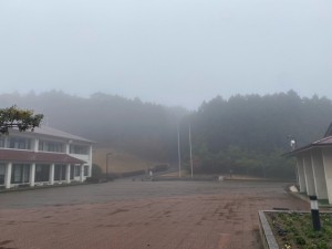 image0_12 image0_12.jpeg