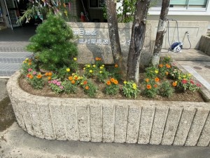 image10 image10.jpeg