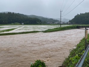 image1_4 image1_4.jpeg