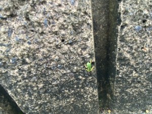 image3_2 image3_2.jpeg