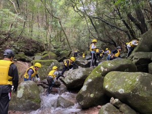 image0_31 image0_31.jpeg