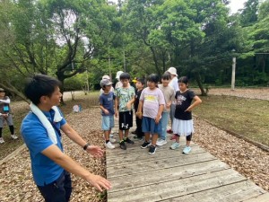 image12 image12.jpeg