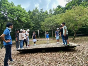 image14 image14.jpeg