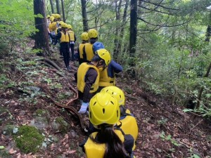 image1_20 image1_20.jpeg