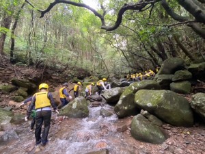 image1_21 image1_21.jpeg