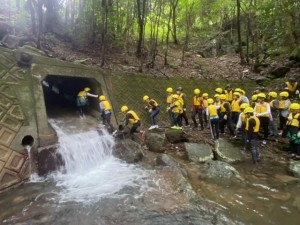 image1_22 image1_22.jpeg