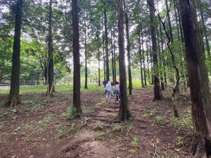 image1_8 image1_8.jpeg