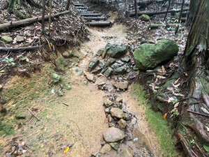 image2_11 image2_11.jpeg