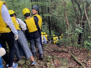 image2_12 image2_12.jpeg