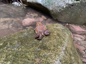 image3_11 image3_11.jpeg