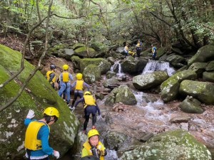 image5_4 image5_4.jpeg