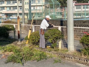 image0_3 image0_3.jpeg