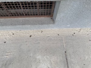 image1_2 image1_2.jpeg