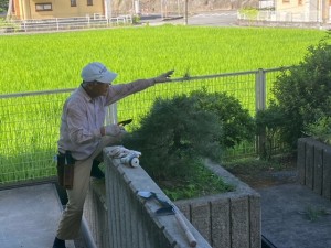 image2_3 image2_3.jpeg