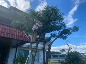 image5_2 image5_2.jpeg