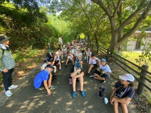 image0_19 image0_19.jpeg