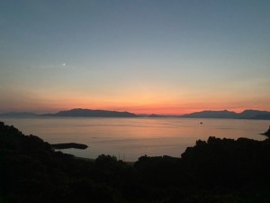 image1_11 image1_11.jpeg