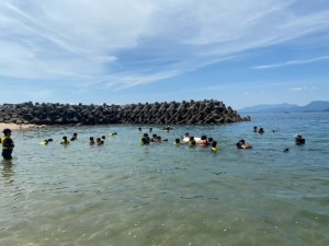 image2_6 image2_6.jpeg