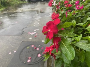 image4_11 image4_11.jpeg