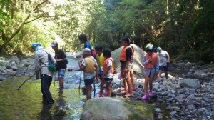 生き物を探しています