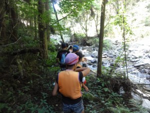 土手をおりて川に入って行きます