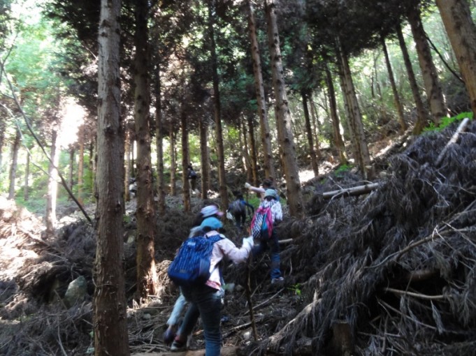 いよいよ険しい道です