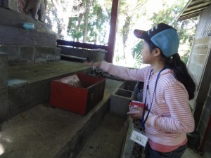 頂上の火の守り神にお賽銭を入れてます。