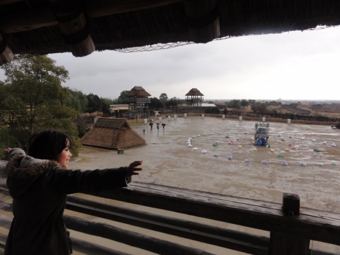 雨が降っています