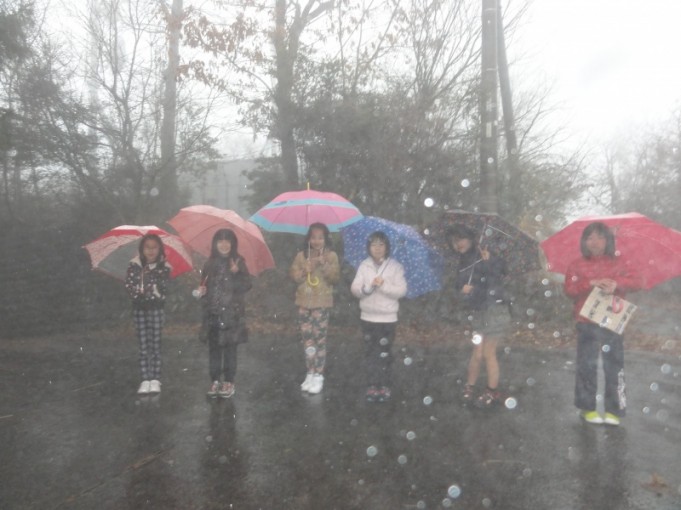 雨でかすんだ高井岳で・・