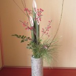 IMG_1225-e1515113352740