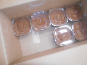 DSCN8875