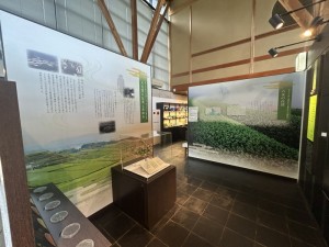 IMG_2574