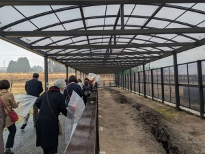 PXL_20260318_022524933