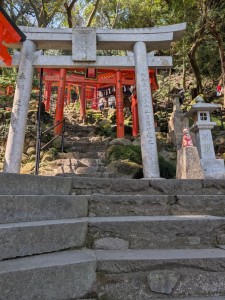 PXL_20260321_041226122