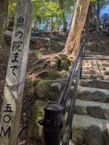 PXL_20260321_042006973