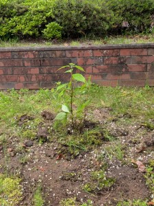 PXL_20260428_071353003