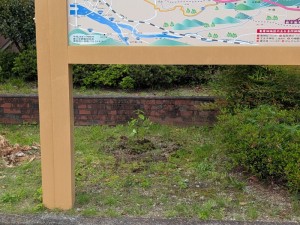 PXL_20260428_071402373