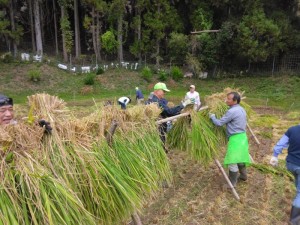 IMG_20261004_104413