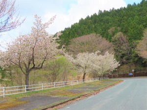 オートポリス前の県道 (6)
