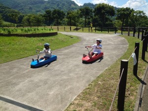 DSC_1020 DSC_1020.JPG