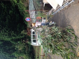 image2_3 image2_3.JPG