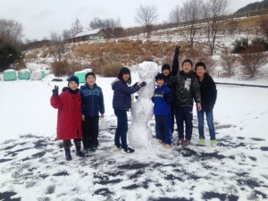 image1_8 image1_8.JPG