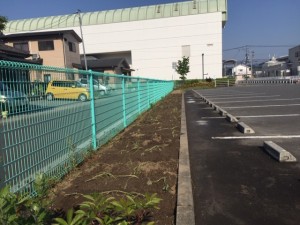 image1_4 image1_4.jpeg