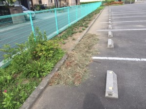 image1_3 image1_3.jpeg