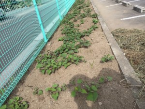 image2_2 image2_2.jpeg