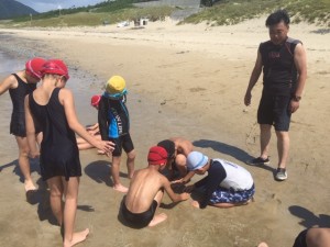 image1_4 image1_4.jpeg