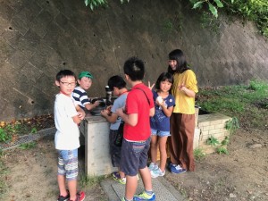 IMG_3637 IMG_3637.JPG