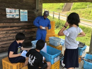 image1_9 image1_9.JPG