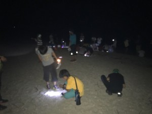 image2_5 image2_5.JPG